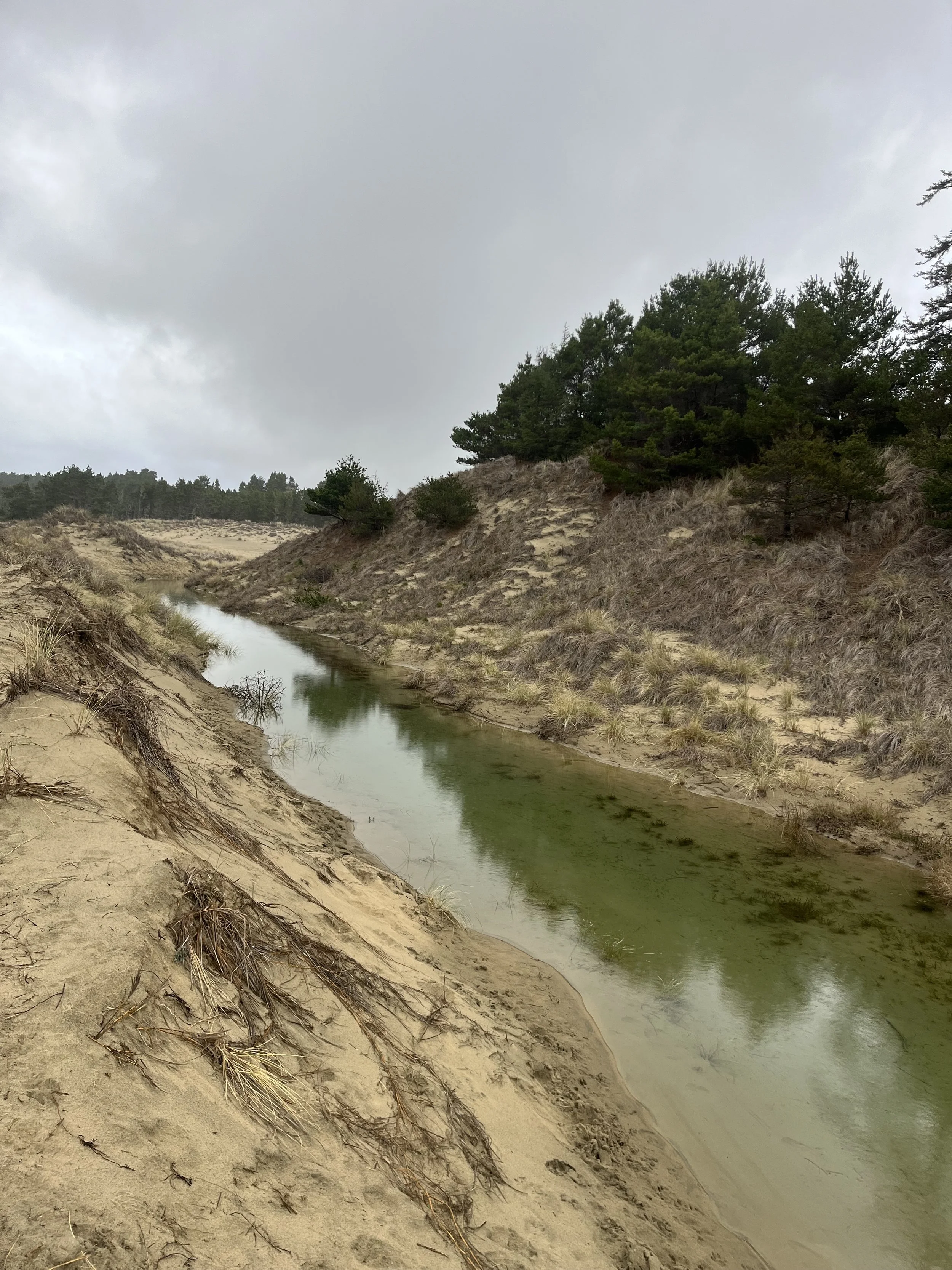 The disappearing dunes of 'Dune' — Outside/In